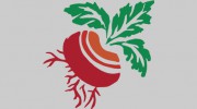Root Cellar Cafe