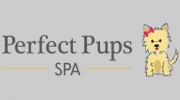 Perfect Pups Spa