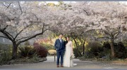Hapa Films