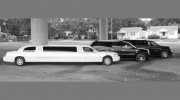 Allure Transportation Shuttle & Limousine Services