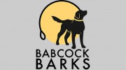 Babcock Barks