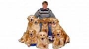 Hand-in-Paw Training & Boarding Kennel
