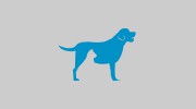 Close To Home Pet Services