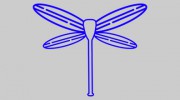 Dragonfly Paddle Yoga
