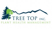 Tree Top