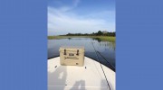 Captain Alex Inshore Charters