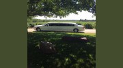 Stagecoach Limousine