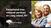 Antonio Tree Service