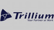 Trillium Construction Service