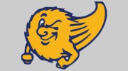 Grand Ledge High School Athletic Department