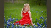 Little Cotton Dress