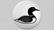 The Loon's Nest Banquet Center