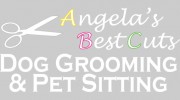 ABC Dog Grooming