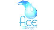 Ace Institute