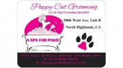 Puppy Cut Grooming