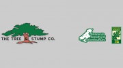 The Tree & Stump