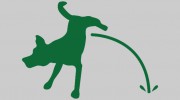 Green Dog Pet Care