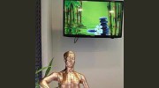 Sweetwater Acupuncture