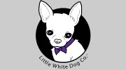 Little White Dog