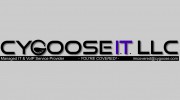 CyGoose IT