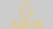 AVRS Furniture