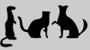 South Bay Veterinary Clinic