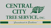 Central City Tree