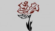 Ripped Rose Fitness