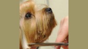 Bow Wow Botique