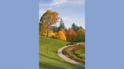 Woosley Landscaping & Mowing