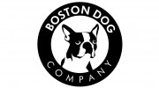 Boston Dog