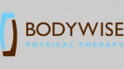 Bodywise Physical Therapy Professional