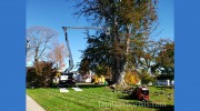 LaPila Landscaping
