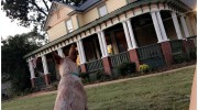 Saugahatchee Animal Hospital