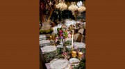 Lemiga Events