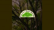 Scott Lanes Tree Service