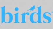 Birds Detail