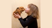 Animal Emergency Service-So Jersey