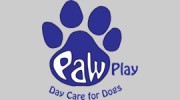 Paw Play