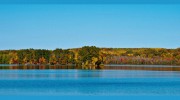 Woodland Development & Realty