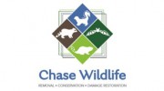 Chase Wildlife
