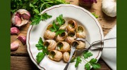 Pro's Epicurean Market & Cafe