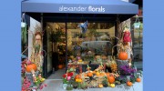 Alexander Florals