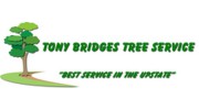 Tony Bridges Tree Service
