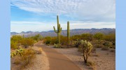 Porter Vacation Rental Management