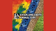 Avian & Exotic Animal Care