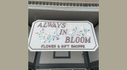 Always In Bloom