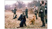 Duck Hill Detection Dogs