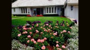 Living Concepts Landscape Services