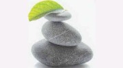 Four Seasons Acupuncture